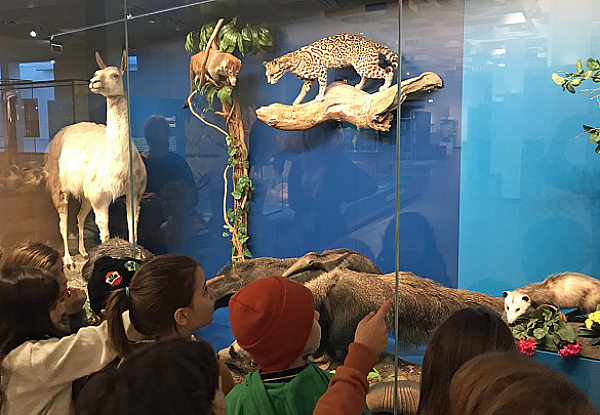 Projektarbeit im Überseemuseum